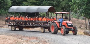 http://thecount.com/2018/04/14/zootastic-park-in-iredell-county-tree-fallen-accident-cause-wagon/zootastic-park-in-iredell-county/